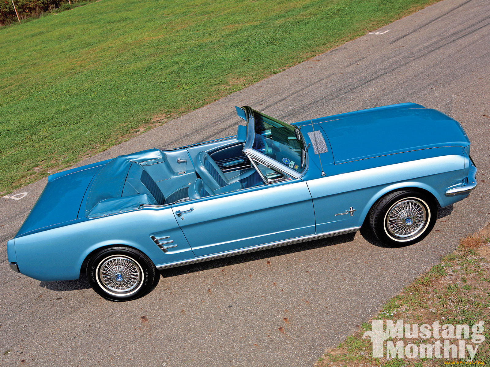 , mustang